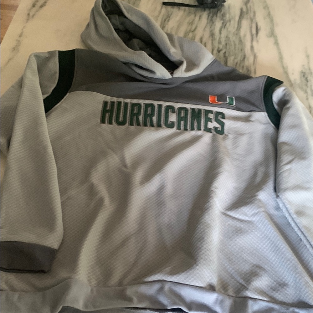 Gray Hurricanes Hoodie